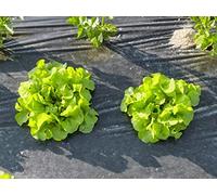 Bâche de paillage compostable en non-tissé de jardin 1,4 x 25 m contre les mauvaises herbes, se compostant même dans le sol en 3 mois