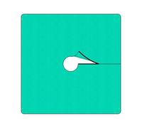 Bâche de paysage, tissu de pelouse - Housse imperméable et résistante de 200 x 200 cm - Tapis bloquant pour les lits, le contrôle de l'herbe, le jardinage, les allées, la pelouse extérieure