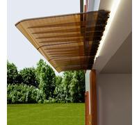 Bâche de protection contre la pluie transparente pour porte d'entrée, résistante aux chocs, en polycarbonate, 200 kg, couverture de jardin, disponible en 40/50/60 cm (60 x 100 cm)
