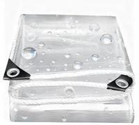 Bache de Protection Exterieur 385 x 450 cm Protection Contre Le Vent et La Pluie Bache de Exterieur Jardin Isolation des Plantes pour Meubles de Jardin, Couleur Transparente