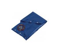 Ribimex Bâche de protection pour piscine ronde PRBP140R62 6,20 m 140 g/m² Bleu