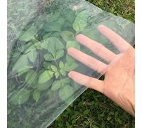 Bâche en polyéthylène Transparent imperméable et Ultra-résistant de 100 microns d'épaisseur, idéale pour Les travaux de Peinture et la Culture sous Tunnel. Résistante à la poussière et à l'h
