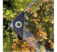 Bâche étanche Transparente 420g/m², 0.3mm Epaisse Multifonction PVC Protection Baches avec œillets, pour Piscine, Jardin, Voiture, Mobilier, Inclure Corde et Serre-câbles (2.4X4M)