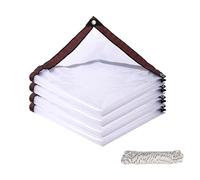 Bâche imperméable transparente 600 x 705 cm avec œillets - Résine UV - Indéchirable - Pour jardin, plantes, serres, animaux domestiques - Protection extérieure - Protection de toit lourde
