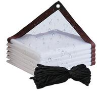 Bâche Imperméable Transparente,Bâche Imperméable en PVC Transparent avec Œillets,Bâches Étanche Transparentes avec Œillets,Bâches Transparentes avec Oeillets,avec Corde de Fixation 5m,2 * 3m