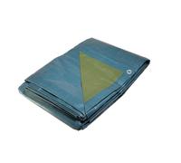 Bâche plastique 8 x 12 m Bleue et Verte Polyéthylène 150g/m²