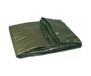 Bâche plastique renforçée verte - 6x5 m TALIAPLAST