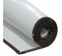 vidaXL Bâche 4018566 transparente en polyéthylène 4x10 m avec œillets