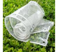 Bache Transparente Exterieur 0,45 mm, Bache Plastique Transparente 510 g/m² Transparent épais et Indéchirable Idéale pour Terrasse, Porche, Jardin ou Poulailler(White,3.9x4.9m/12.8x16.1ft)