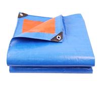 Bache Transparente Exterieur, Imperméable avec Sangles Renforcées Multi-usages en Toile Plastique Bâche pour Toit, Camping, Piscine Résistante Aux Déchirures(Blue,500x500cm/16.4x16.4FT)