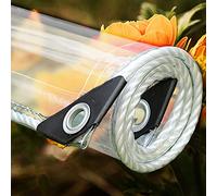 Bâche transparente très résistante - Bâche transparente imperméable avec œillets - Idéale pour pergola, serre, protection des plantes et toits pour animaux domestiques (2,4 x 8 m)