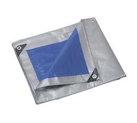 Bâche ultra-lourde pro 250 gr/m2 2x3m PRB25002X03