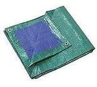 Bâche multi-usage 6x10 m 140 g/m2 - PRB14006X10