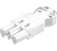 BACHMANN Connecteur à visser mâle GST18i3