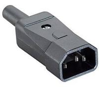 Bachmann 915.171 Connectique pour appareils réfrigérants mâle noir 1 pc(s)