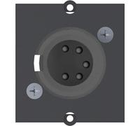 Bachmann Module Custom 1 X Fiche Xlr 5 Pôles Noir