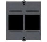 Bachmann - Plaque - noir - 2 ports Noir G