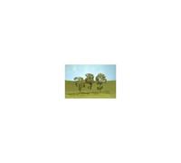 Bachmann Trains - 12 Inches 2 34 Inches Maple Trees 4 Per Box