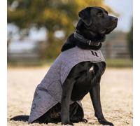 Back on Track Haze Collection Hundemantel - grau