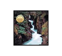 Yusuf (Cat Stevens) – Back To Earth – CD neuf