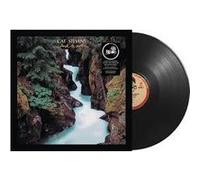 Yusuf / Cat Stevens – Back To Earth – Vinyle – Pochette lenticulaire
