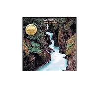 Back To Earth Vinyle