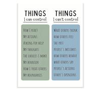 Back To School Decor Things I Can Cannot Control Poster Classroom Positive Inspiring Motivational Therapist Office Decor(Framed,12x18inch(30x45cm))