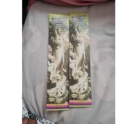 Back to Sender Lot de 20 bâtonnets d'encens