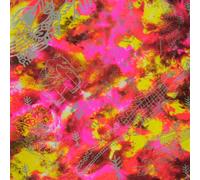 Back to the Planet - Messages After The Bleep [Import]