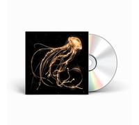 Back to the Water Below