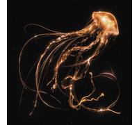 Back To The Water Below (CD)