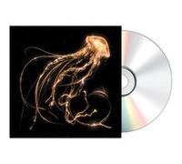 Royal Blood – Back to the Water Below – CD – Warner Music
