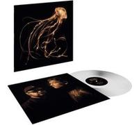 Back To The Water Below Édition Limitée Exclusivité Fnac Vinyle Transparent