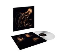 Back To The Water Below Édition Limitée Exclusivité Fnac Vinyle Transparent Vinyle