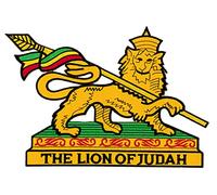 Backpatche Lion of Judah Rastafari patche Dorsal thermocollant Grande Taille