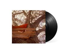 Backseat Lovers, the - Waiting to Spill (Vinyl)