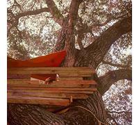 Backseat Lovers - Waiting to Spill [Import]