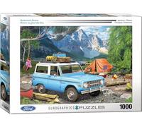 Backwoods Ford Bronco