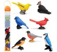 Backyard Birds