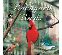 Backyard Birds