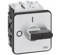 BACO BA174202 Interrupteur sectionneur 50 A 1 x 90 ° gris, noir 1 pc(s)