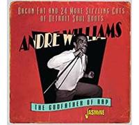 Bacon Fat And 24 More Sizzling Cuts Of Detroit Soul Roots 1955-1960 – Jasmine Guitars