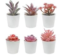 Bacucine Lot de 6 plantes succulentes artificielles en pot, plantes succulentes pour chambre à coucher, rebord de fenêtre, étagère, bureau, décoration d'intérieur (flocage violet)