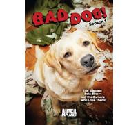 Bad Dog: Season 1