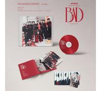 BAD Japanese Ver. Photobook
