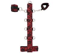 Bad Kitty - ensemble attachant cou, bras (rouge-noir)