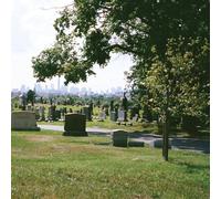 Bad Luck. Take What You Need Evergreen Cemetery (Vinyl)