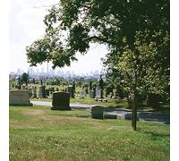 Bad Luck. - Take What You Need [Vinyl Lp]