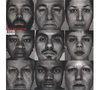 Bad Religion 'The Gray Race' LP Vinyle Noir - Nouveau et Scellé