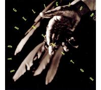 Bad Religion - Generator